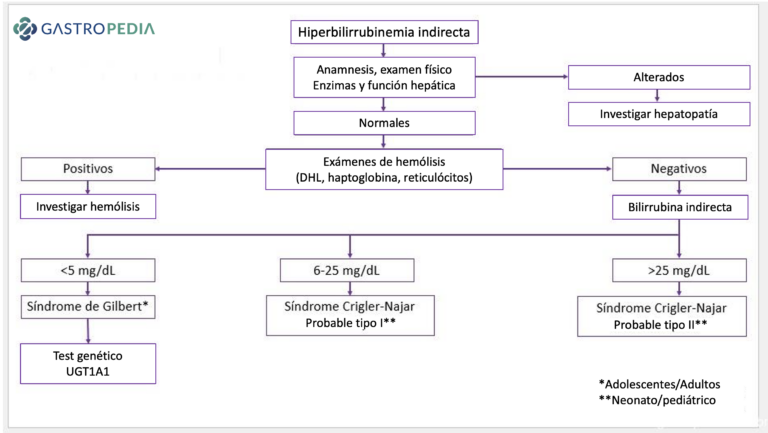 Síndrome de Gilbert: ¿qué necesitamos saber? - Gastropedia